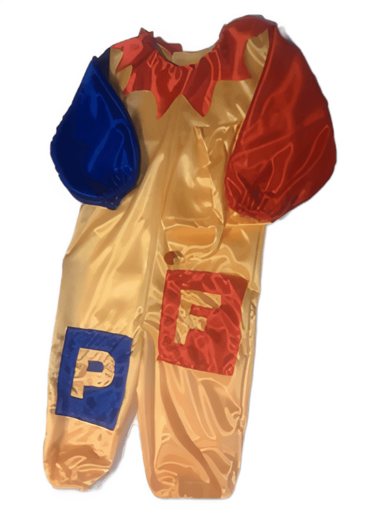 Disfraz de Piñón Fijo