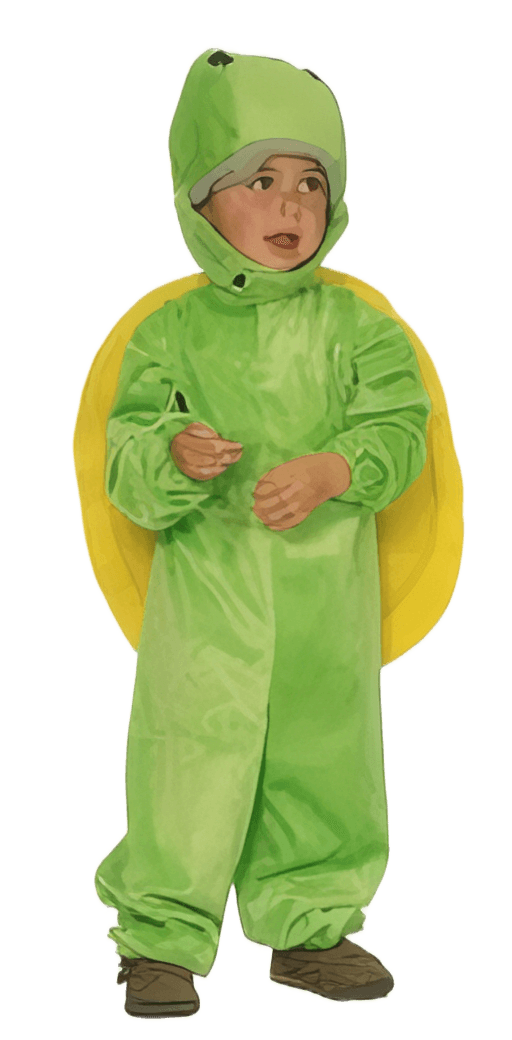 Disfraz de Tortuga Ninja