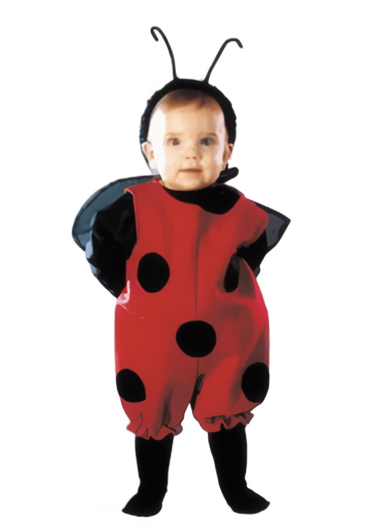 Disfraz de Vaquita de San Antonio