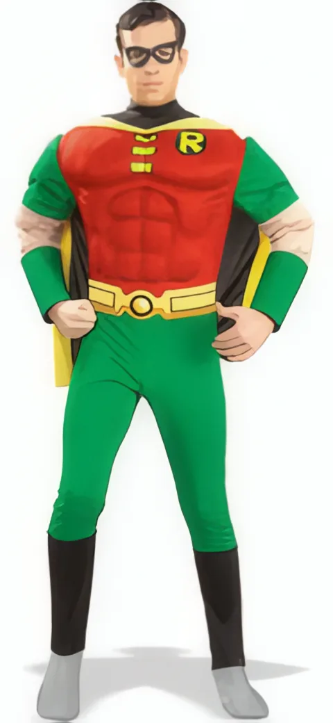 Disfraz de Robin
