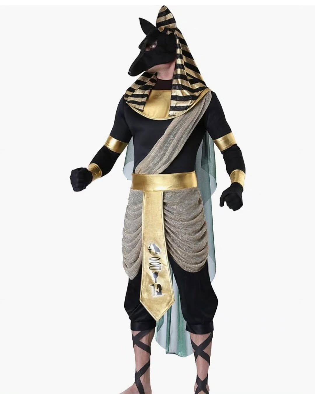 Disfraz de Anubis