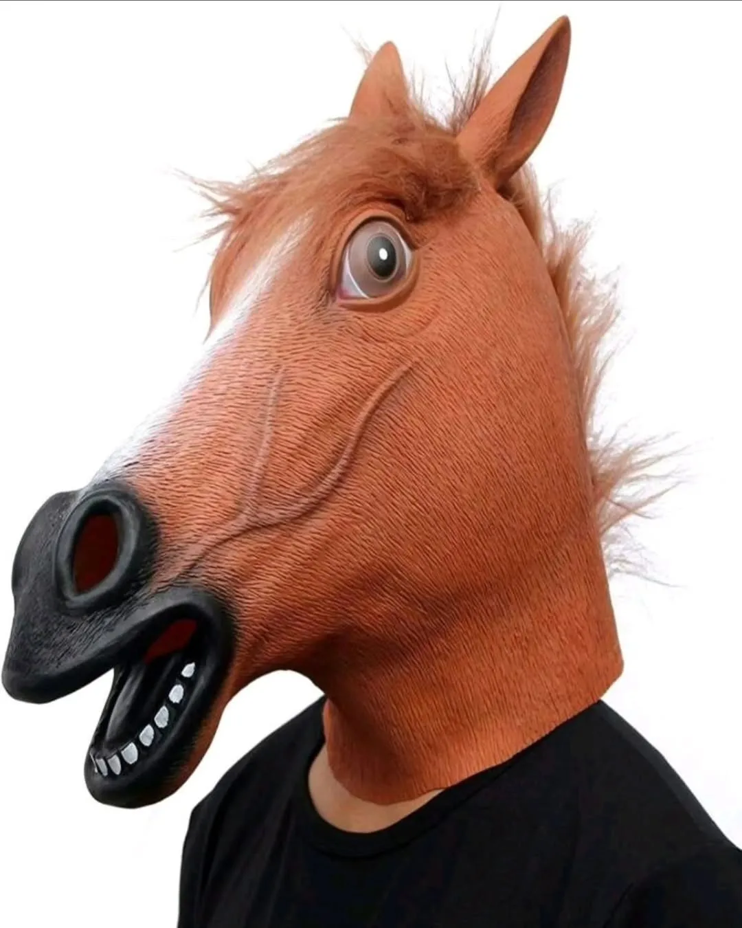 Disfraz de caballo
